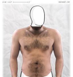 Torso