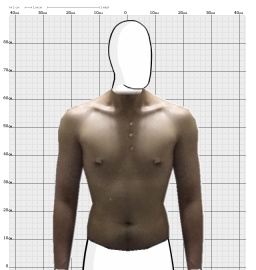 Torso
