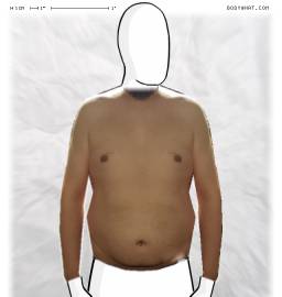 Torso