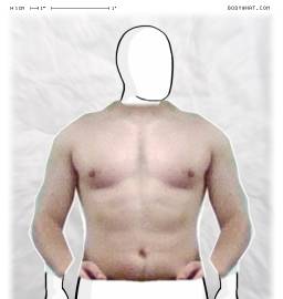 Torso