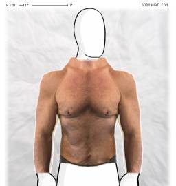 Torso