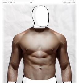 Torso