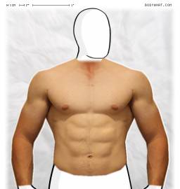 Torso