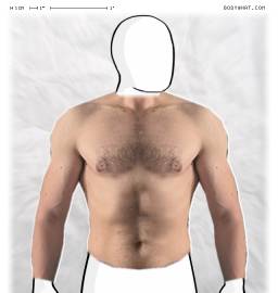 Torso