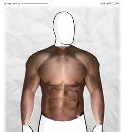 Torso