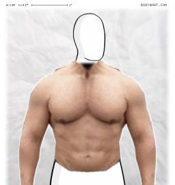 Torso