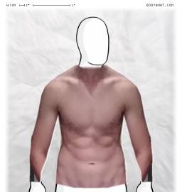 Torso
