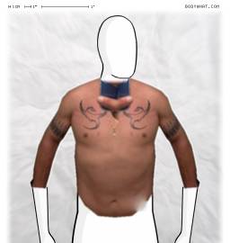 Torso
