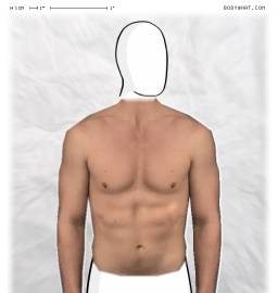 Torso