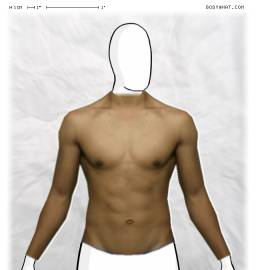 Torso