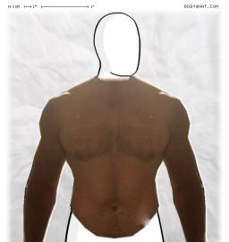 Torso
