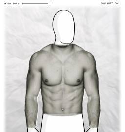 Torso
