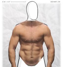 Torso
