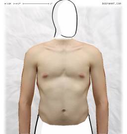 Torso