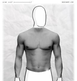 Torso