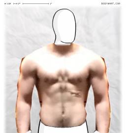 Torso