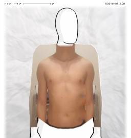 Torso