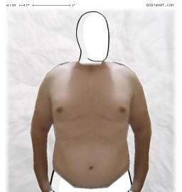 Torso