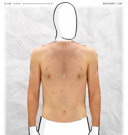 Torso