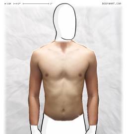 Torso