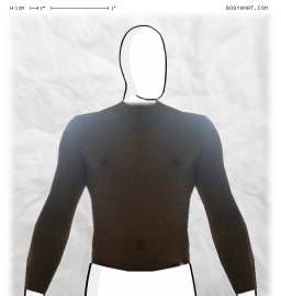 Torso