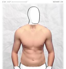 Torso