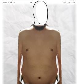 Torso