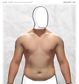 Torso