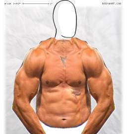 Torso