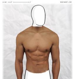 Torso