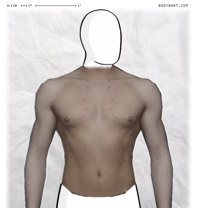 Picture 1