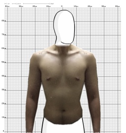 Torso