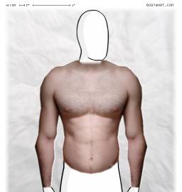 Torso