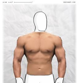 Torso