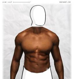 Torso