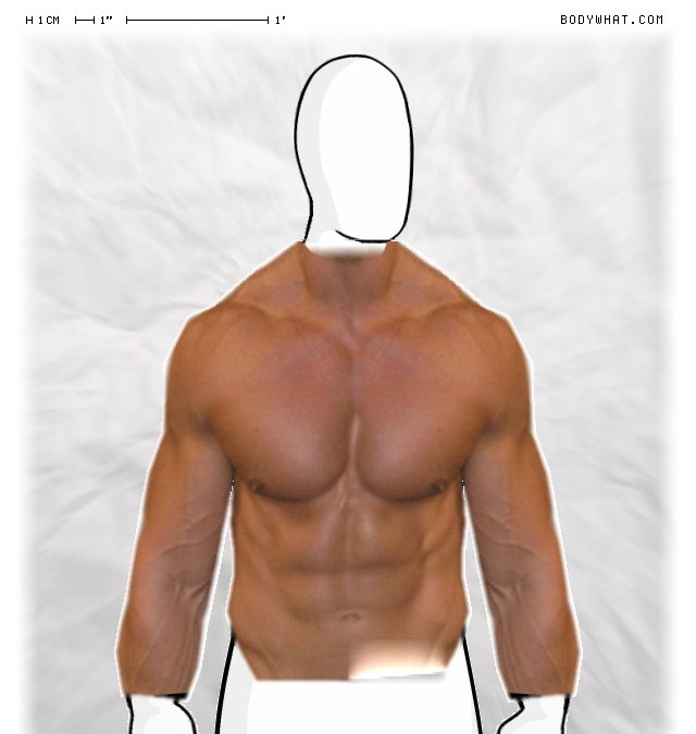 Picture 1
