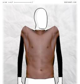 Torso