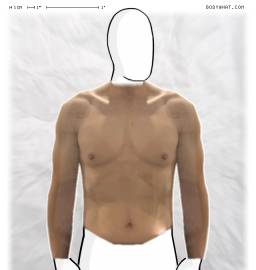 Torso
