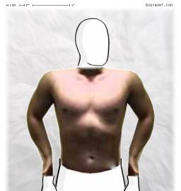 Torso