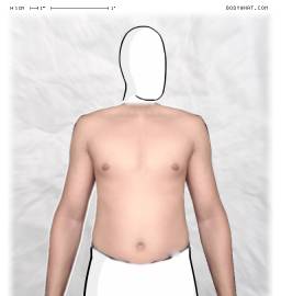 Torso