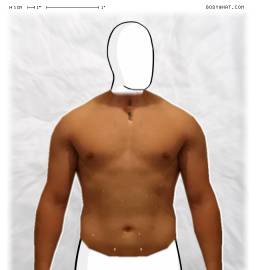 Torso
