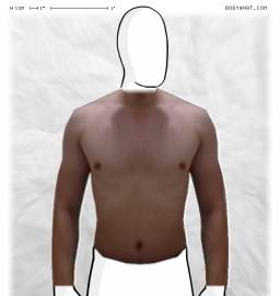 Torso