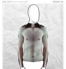 Torso
