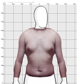 Torso