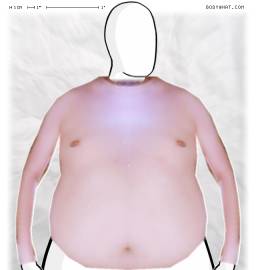 Torso